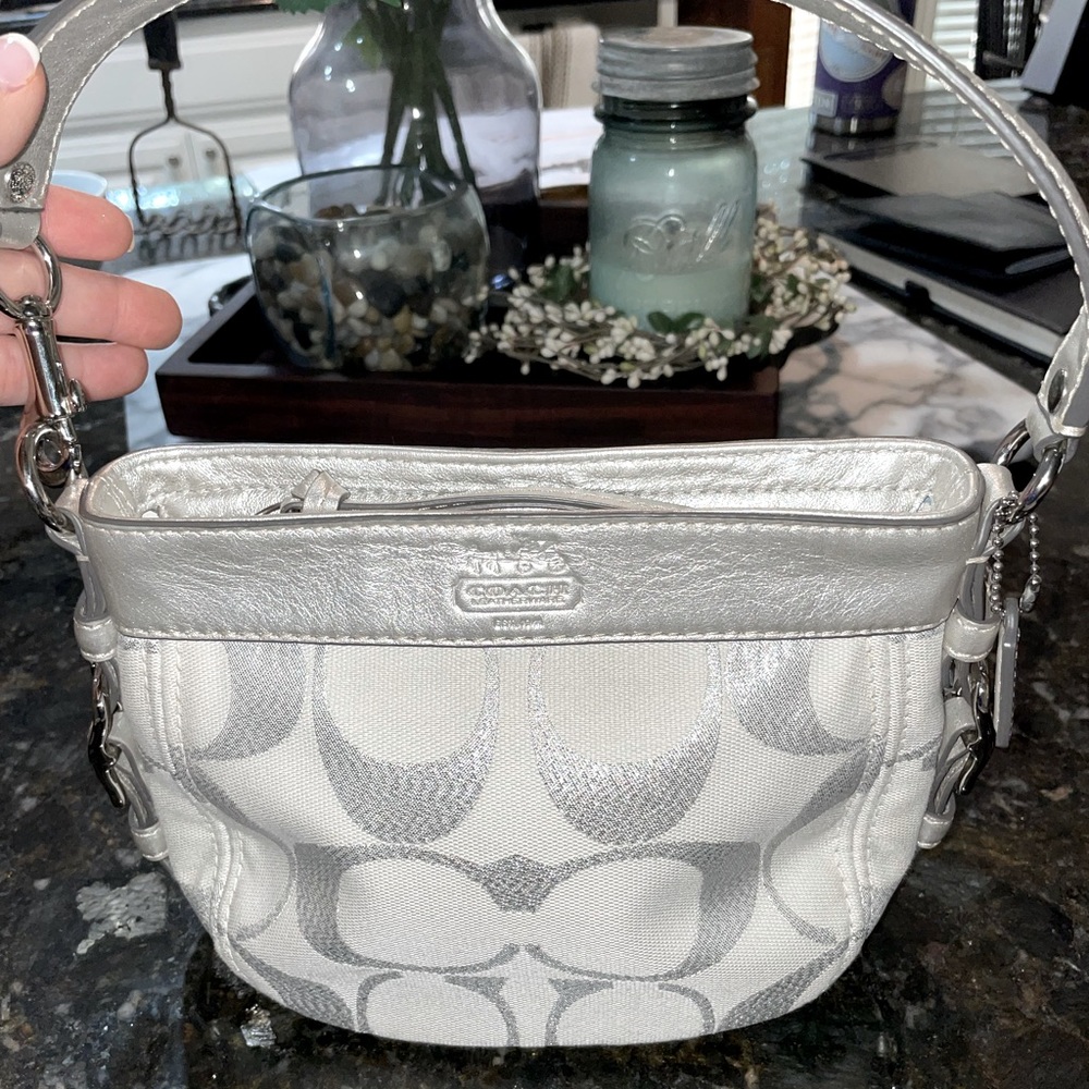 Winter collection coach hand bag